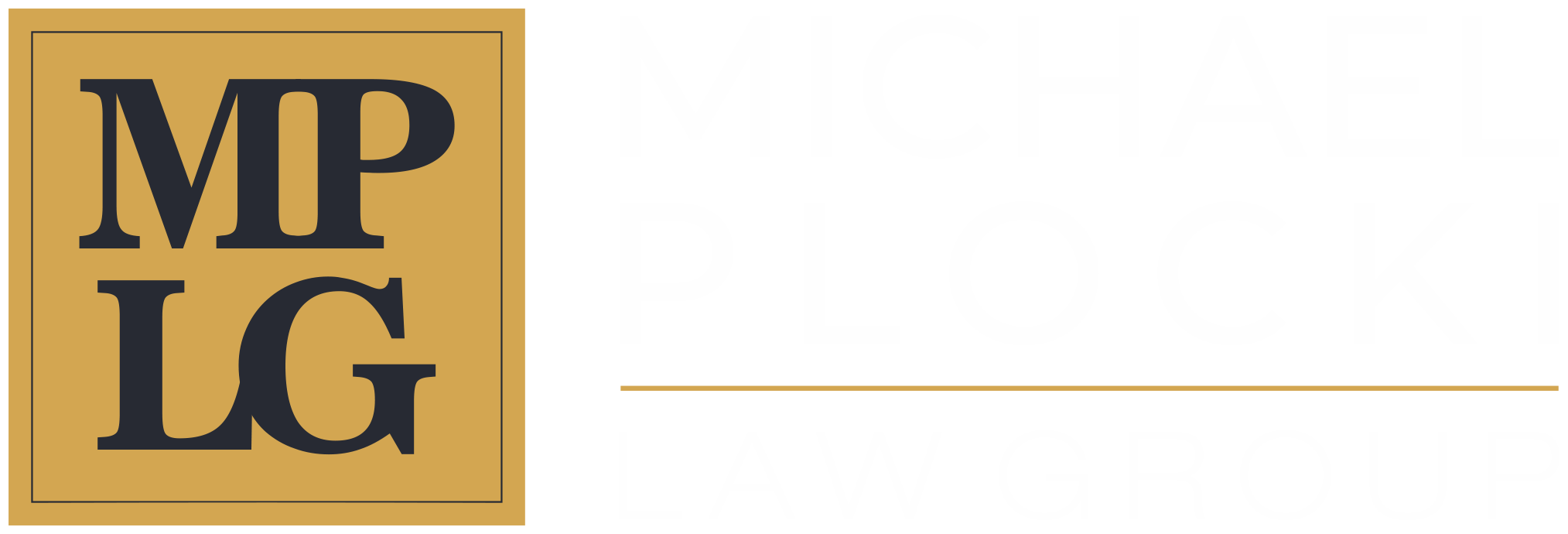 Michael Plocki Law Group